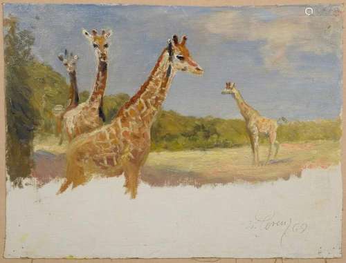 Lorenz, Willy (1901-1981) "Four Giraffes" 1969, oi...