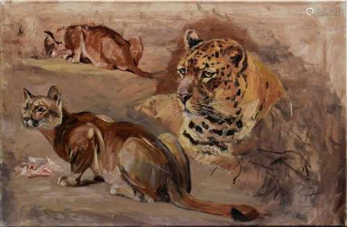 Lorenz, Willy (1901-1981) "Two feeding pumas and lying ...