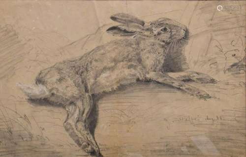 Maffei, Guido v. (1838-1898) "Hare" 1884, pencil d...