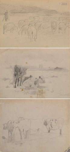 3 Various pencil drawings "Sheep" and 2x "Cow...