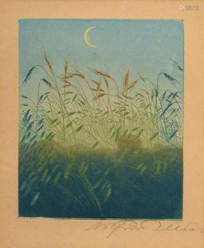 Illies, Arthur (1870-1952) "Crescent Moon over a Field ...