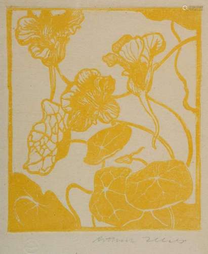 Illies, Arthur (1870-1952) "Nasturtium" 1896, etch...
