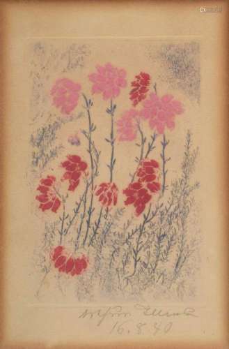 Illies, Arthur (1870-1952) "Cross-leaved heath" 19...