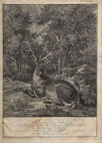 Riedinger, Johann Elias (1698-1767) "Stag" 1741, c...