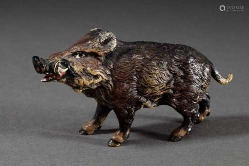 Viennese bronze "Wild Boar", painted in colour, Be...