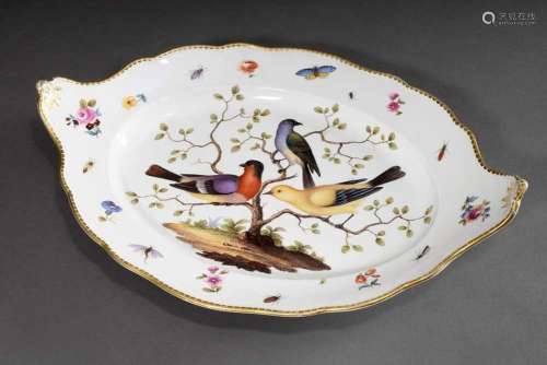 Large oval Meissen plate with polychrome painting "Bird...