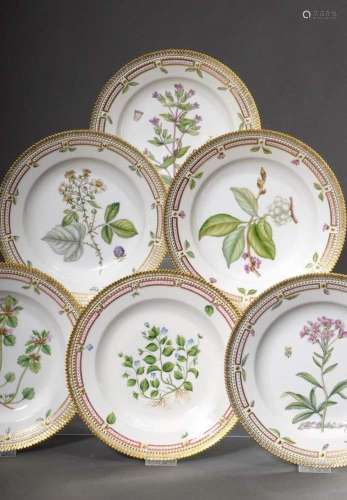 6 Royal Copenhagen "Flora Danica" dinner plates wi...