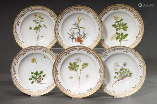 6 Royal Copenhagen "Flora Danica" deep plates with...