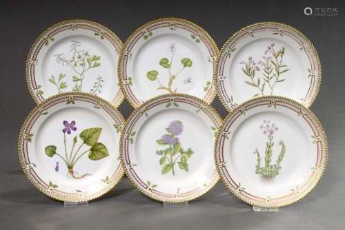 6 Royal Copenhagen "Flora Danica" cake plates with...