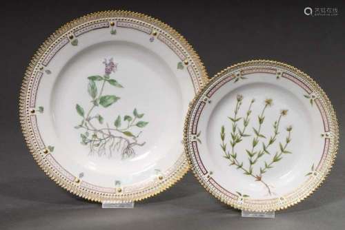 2 Various Royal Copenhagen "Flora Danica" plates w...
