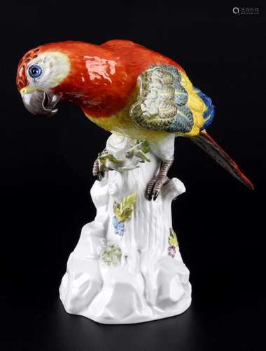 Meissen parrot on tree trunk, Ara Papagei auf Stamm,