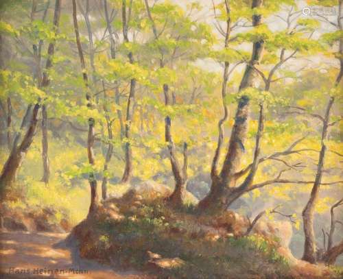 HANS HEINEN HANS HEINEN SONNIGER WALD