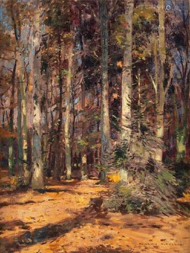 HEINRICH HERMANNS HEINRICH HERMANNS WALDLANDSCHAFT