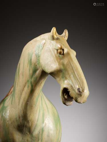 A LARGE SANCAI GLAZED POTTERY FIGURE OF A HORSE, TANG DYNAST...