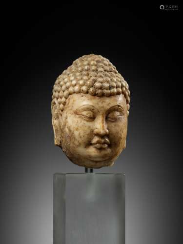 A MARBLE HEAD OF BUDDHA, TANG DYNASTY