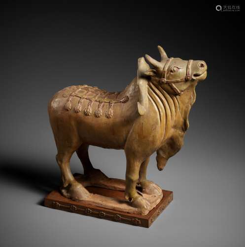 AN IMPRESSIVE POTTERY FIGURE OF A BULL, SUI TO TANG DYNASTY