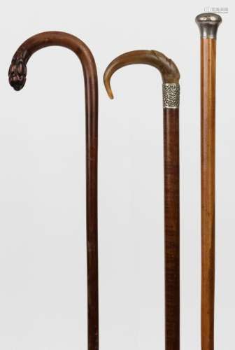 Three antique walking sticks, fiddleback blackwood, Malacca ...