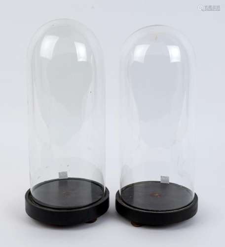 A pair of antique French cylindrical glass domes on ebonised...