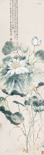 张白英（1891-1946） 白荷 立轴 设色纸本