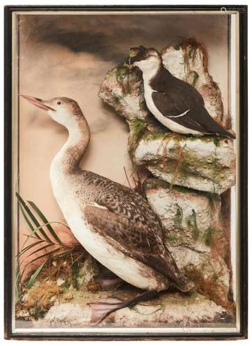 A TAXIDERMY CASED GROUP OF WATERFOWL BY F. LAWRENCE & CO...