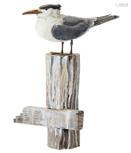 STU JAMES (born 1967) STU JAMES (born 1967) Crested Tern 199...