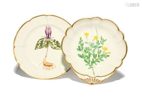 Two Swansea botanical dessert dishes c.1815-17, one painted ...