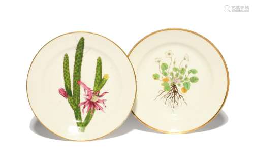A pair of Swansea botanical plates c.1815-17, printed and ha...