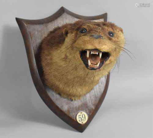 An Early 20th Century Otter Mask Trophy, No 59 with Ivorine ...