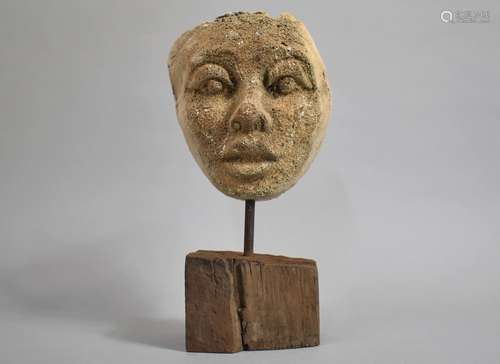 A Sculpted Plaster Life Size Human Face Mounted on an Oak Pl...