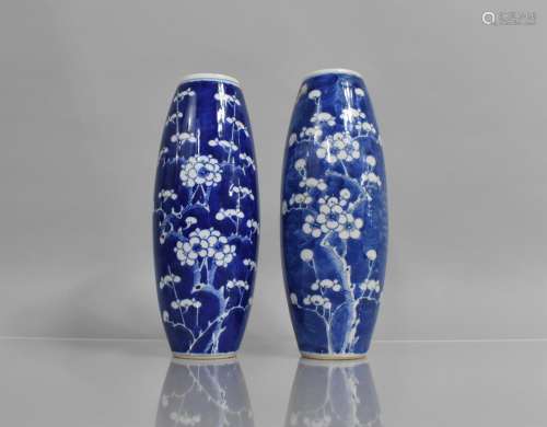 A Pair of 19th century Chinese Porcelain Blue and White Prun...