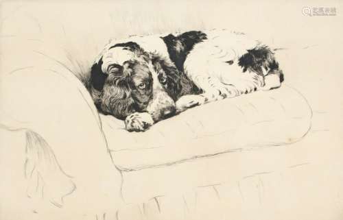 Cecil Aldin (1870-1935) I`m Not Allowed on This Sofa Signed ...