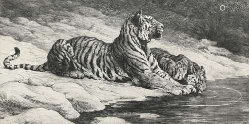 Herbert Dicksee (1862-1942) Two tigers at a pool Signed Herb...