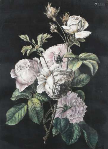 English School 19th Century Study of roses Pastel 40.2 x 30....