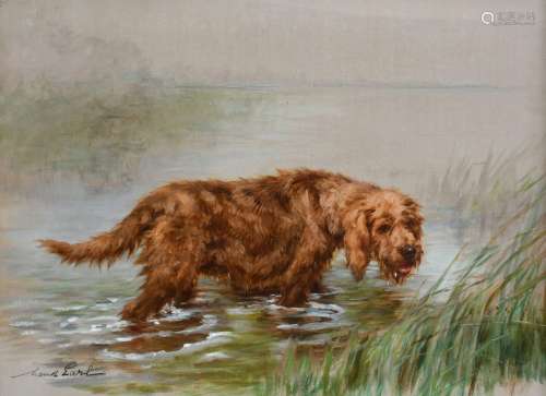 Maud Earl (1863-1943) An otterhound amongst the reeds Signed...
