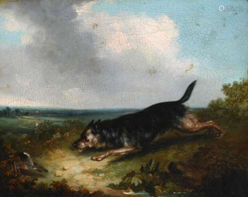George Armfield (1808-1893) A terrier chasing a rabbit Oil o...