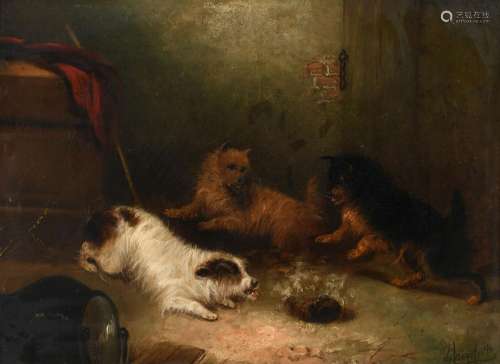 George Armfield (1808-1893) Terriers around a wasps nest Sig...