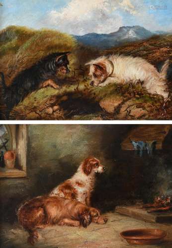 Circle of George Armfield Terriers by a fox den; Spaniels by...