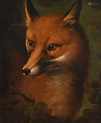 English School 19th Century A fox in the undergrowth Oil on ...