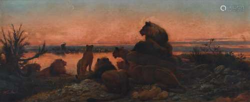 William Strutt RBA (1825-1915) A pack of lions watching elep...