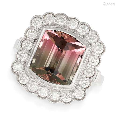 A WATERMELON TOURMALINE AND DIAMOND CLUSTER RING set with a ...