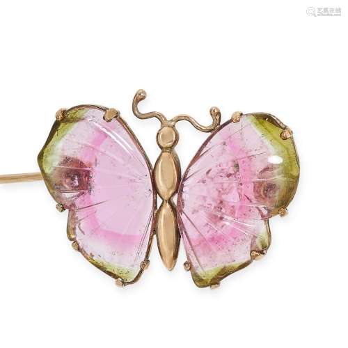A WATERMELON TOURMALINE BUTTERFLY BROOCH in 9ct yellow gold,...