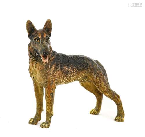 An Austrian Cold Painted Bronze Figure of a German Shepherd ...