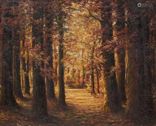 Hermann Joseph Koller (zugeschr.), Herbstlicher Waldweg. Woh...