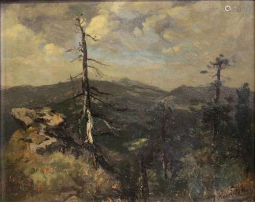 Josef Haunstetter (deutsch, 1858-1944), Landschaft, Öl auf K...