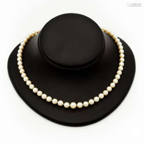 Collier composé d'un rang de perles de culture disposées en ...