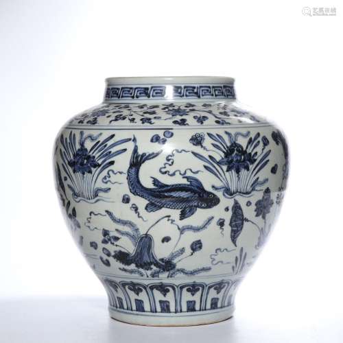 A BLUE AND WHITE 'FISH' JAR.MING DYNASTY