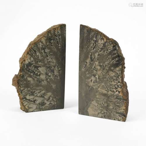 Paire de serre-livres<br />
Bois fossilisé poli, H 20 cm