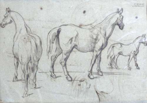 Scuola italiana, secolo XIX - Studies of horses