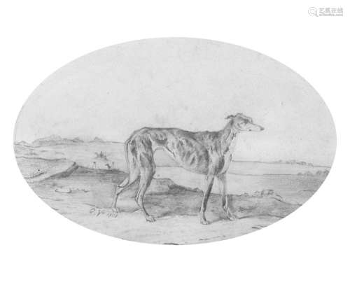 Scuola francese, secolo XIX - Greyhound