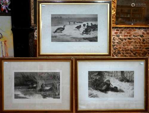 A set of five Archibald Thorburn prints
